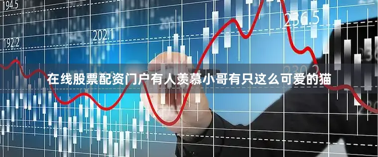 在线股票配资门户有人羡慕小哥有只这么可爱的猫