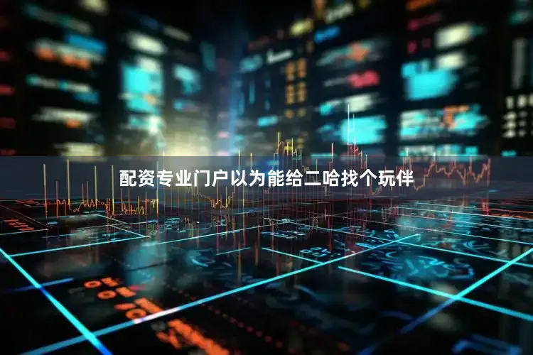 配资专业门户以为能给二哈找个玩伴