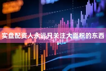 实盘配资人永远只关注大面积的东西